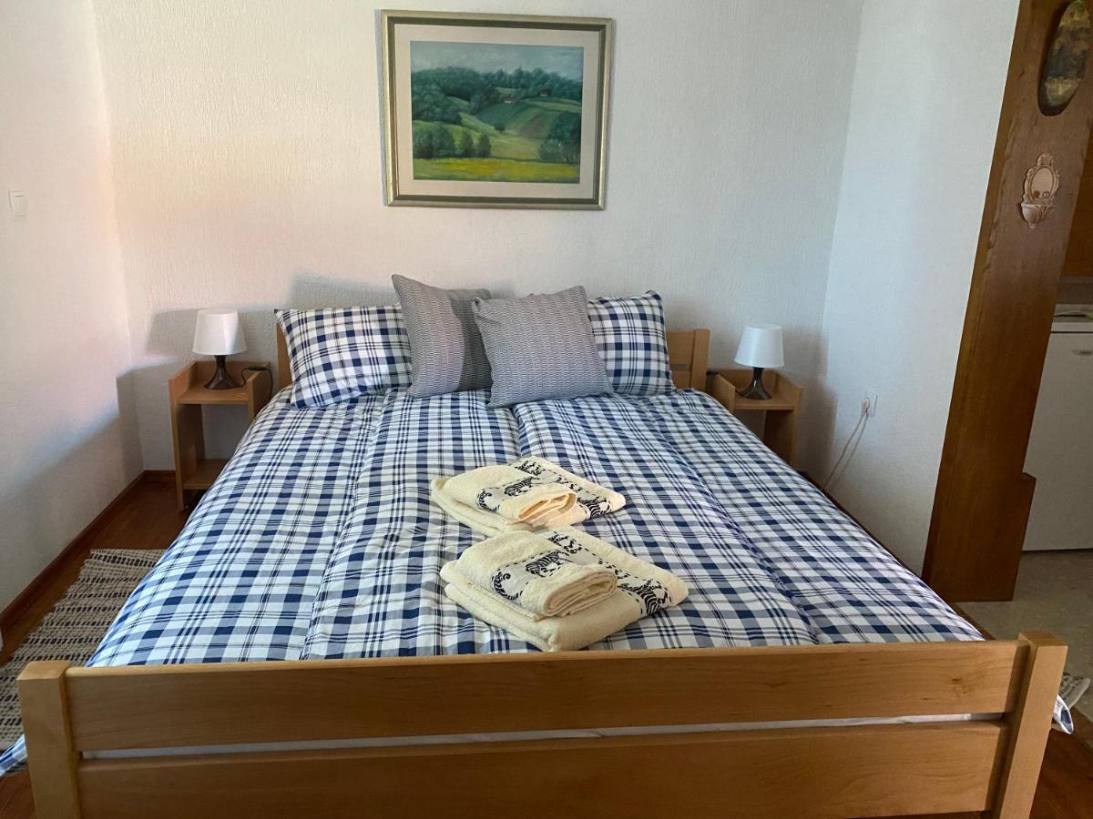 Ruralna Kuca 'Villa Zagorka' Za Odmor Sa Bazenom I Bocalistem Donja Pacetina エクステリア 写真